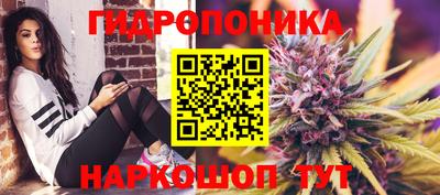 ALPHA PVP Малгобек