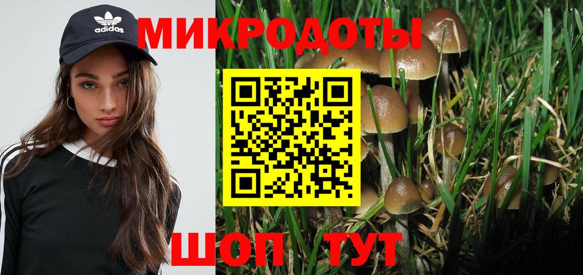 Тамбов  Галлюциногенные грибы GOLDEN TEACHER  Вход с VPN 