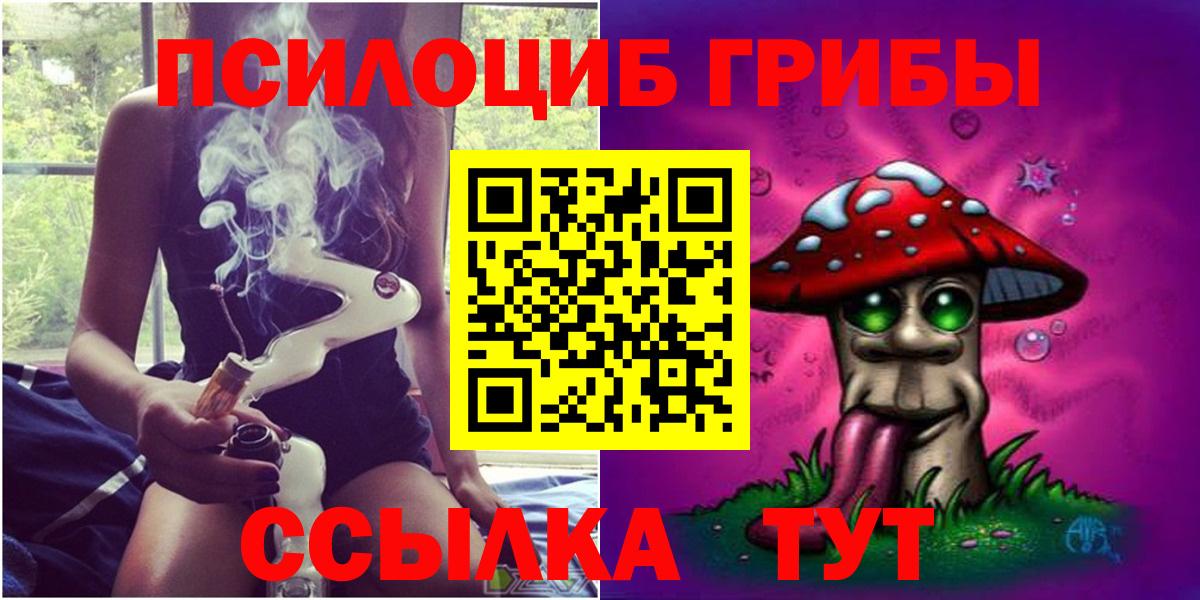 Галлюциногенные грибы прущие грибы Тамбов